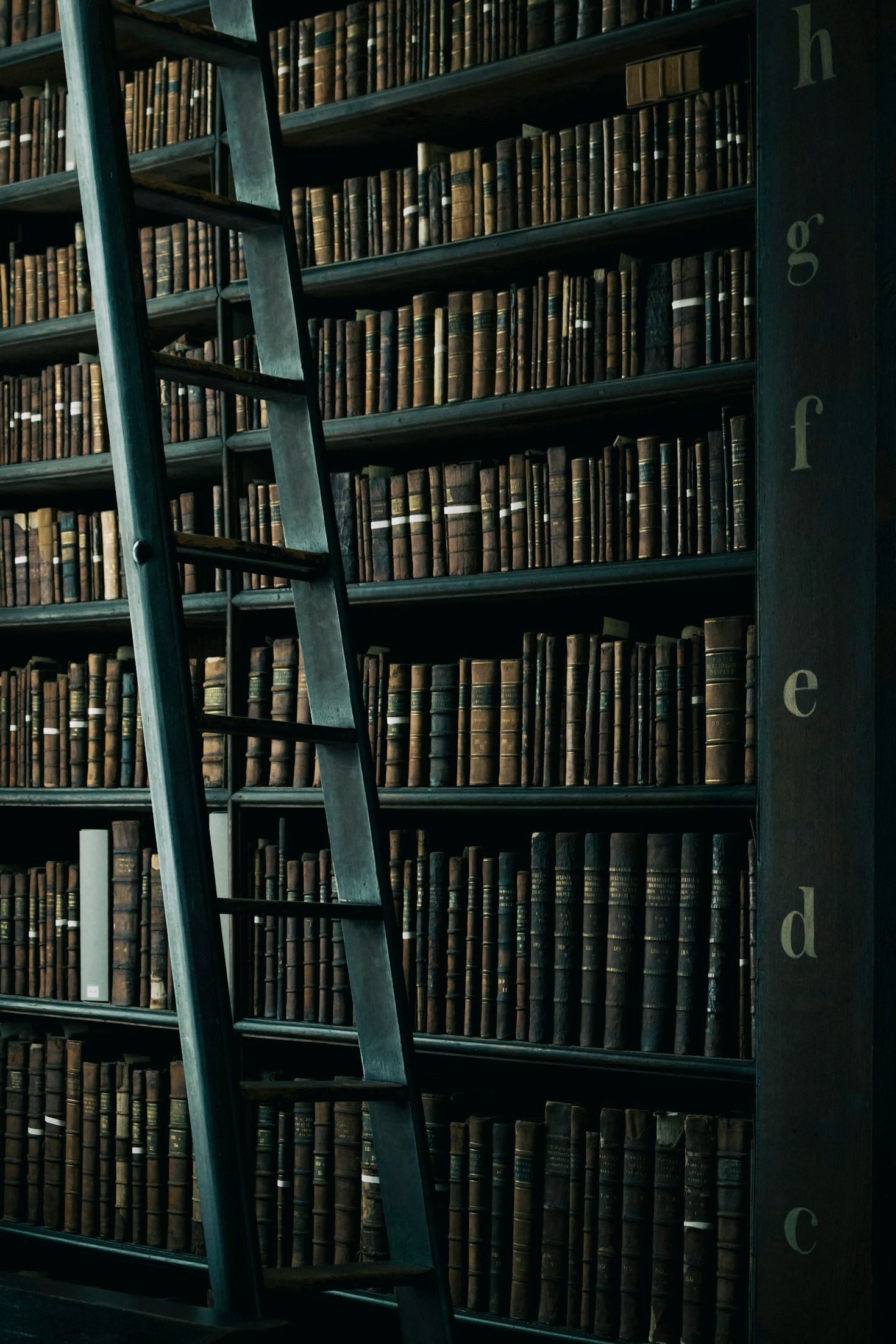 Contemporary Approaches to Moral Decision-Making